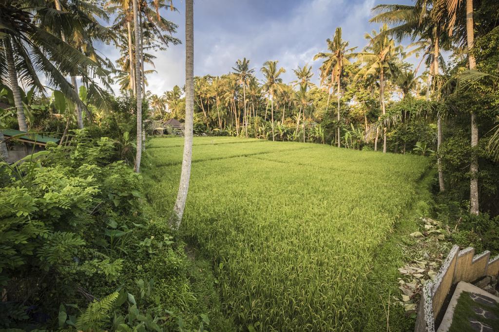 Junjungan Serenity Villas&Spa Ubud  Luaran gambar